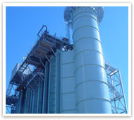 Cogen Plant